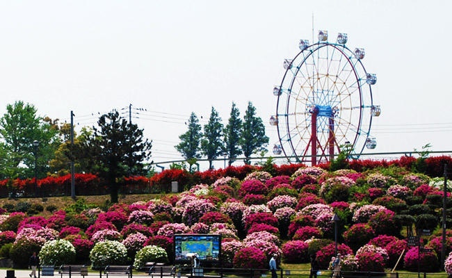 ときわ公園